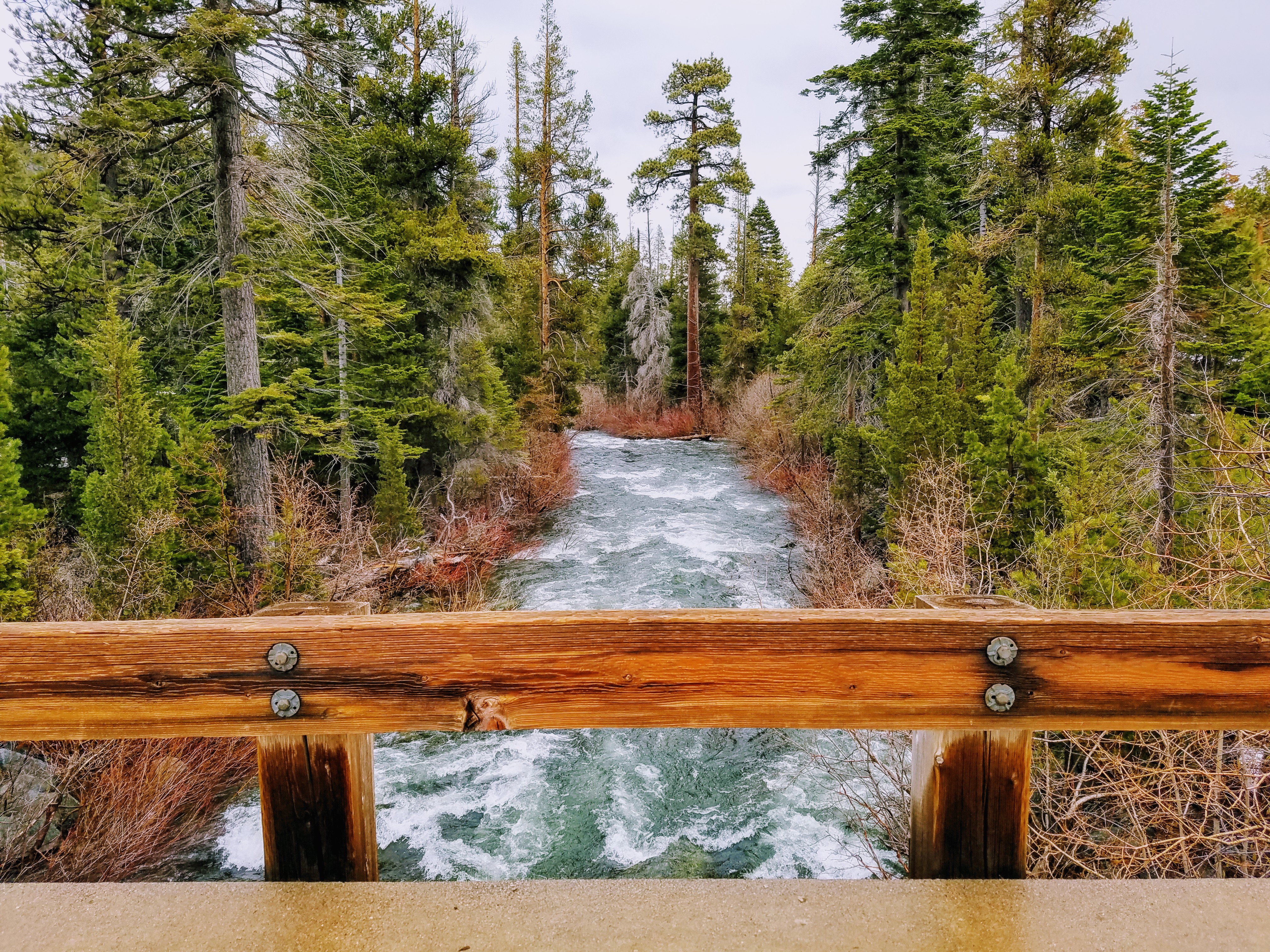 Glen Alpine Creek