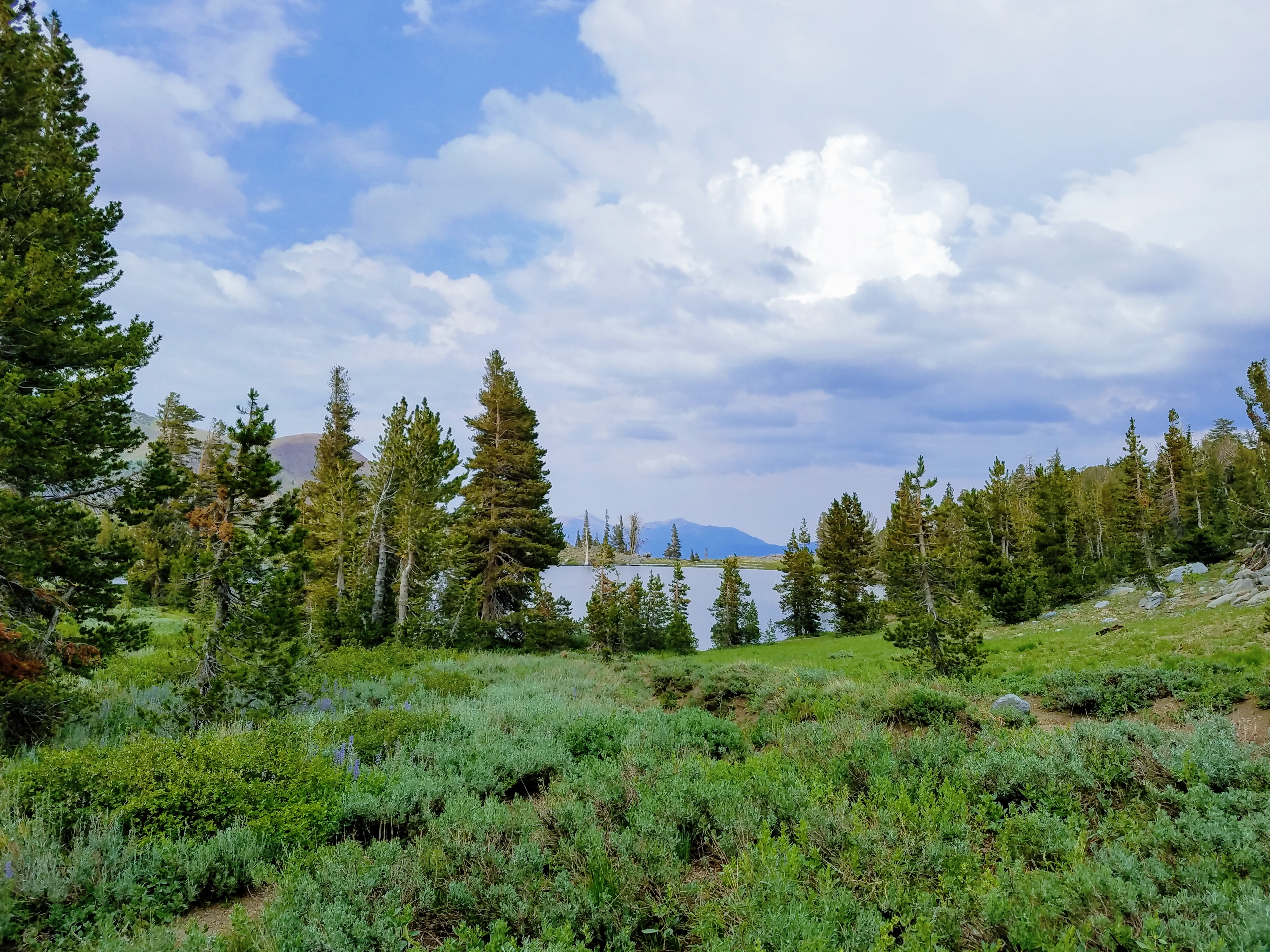 winnemucca lake hike