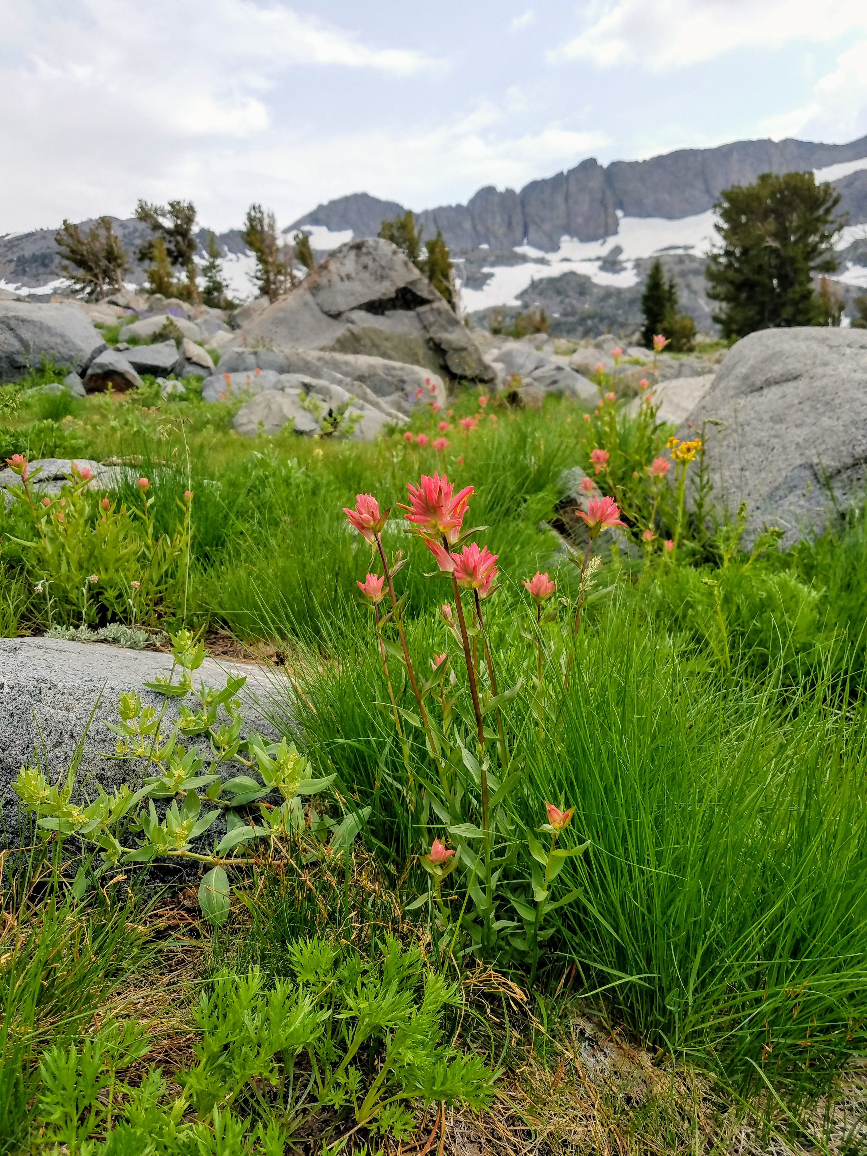 winnemucca lake hike in mokelumne wilderness