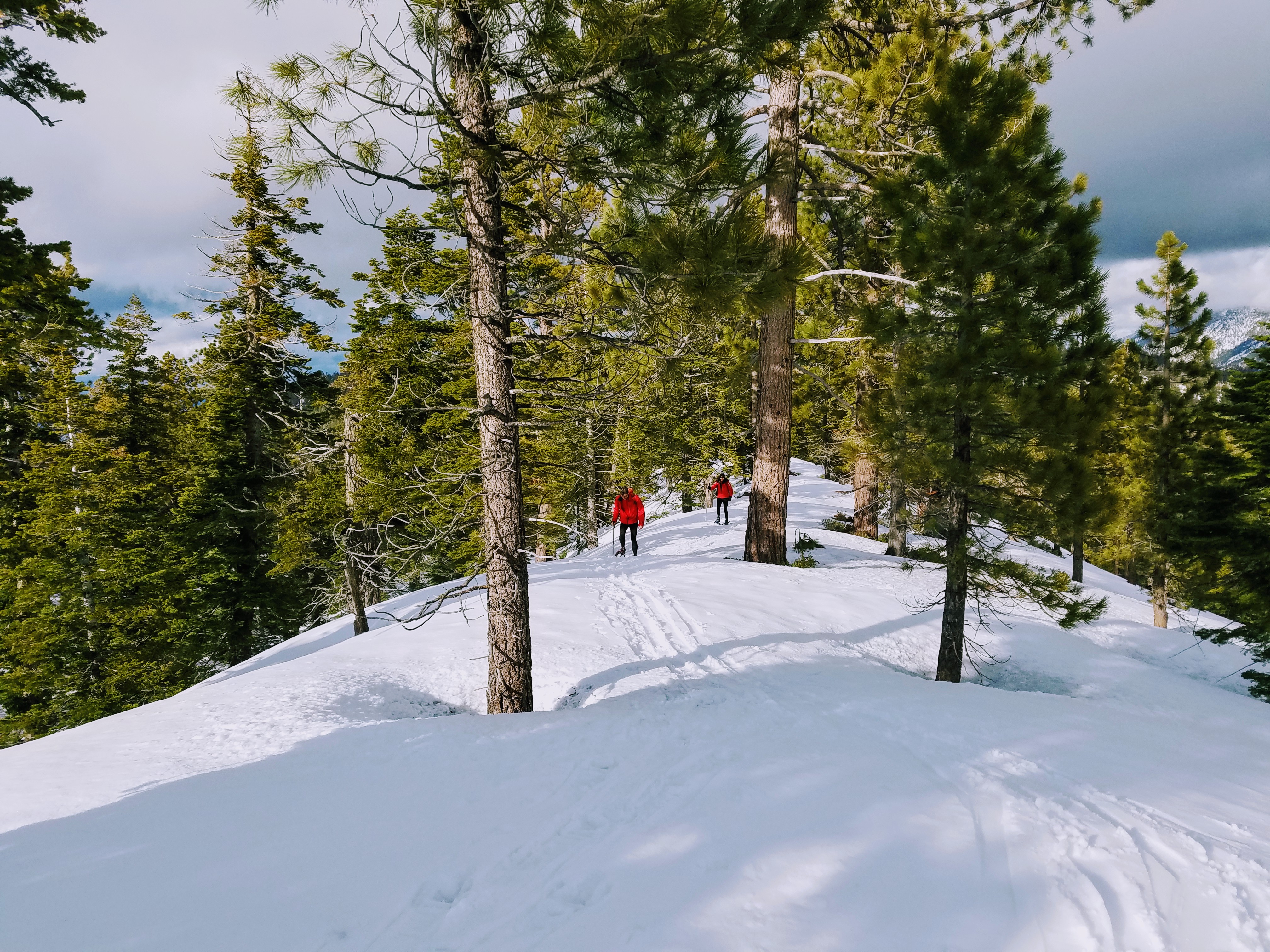 Angora Ridge Snowshoe