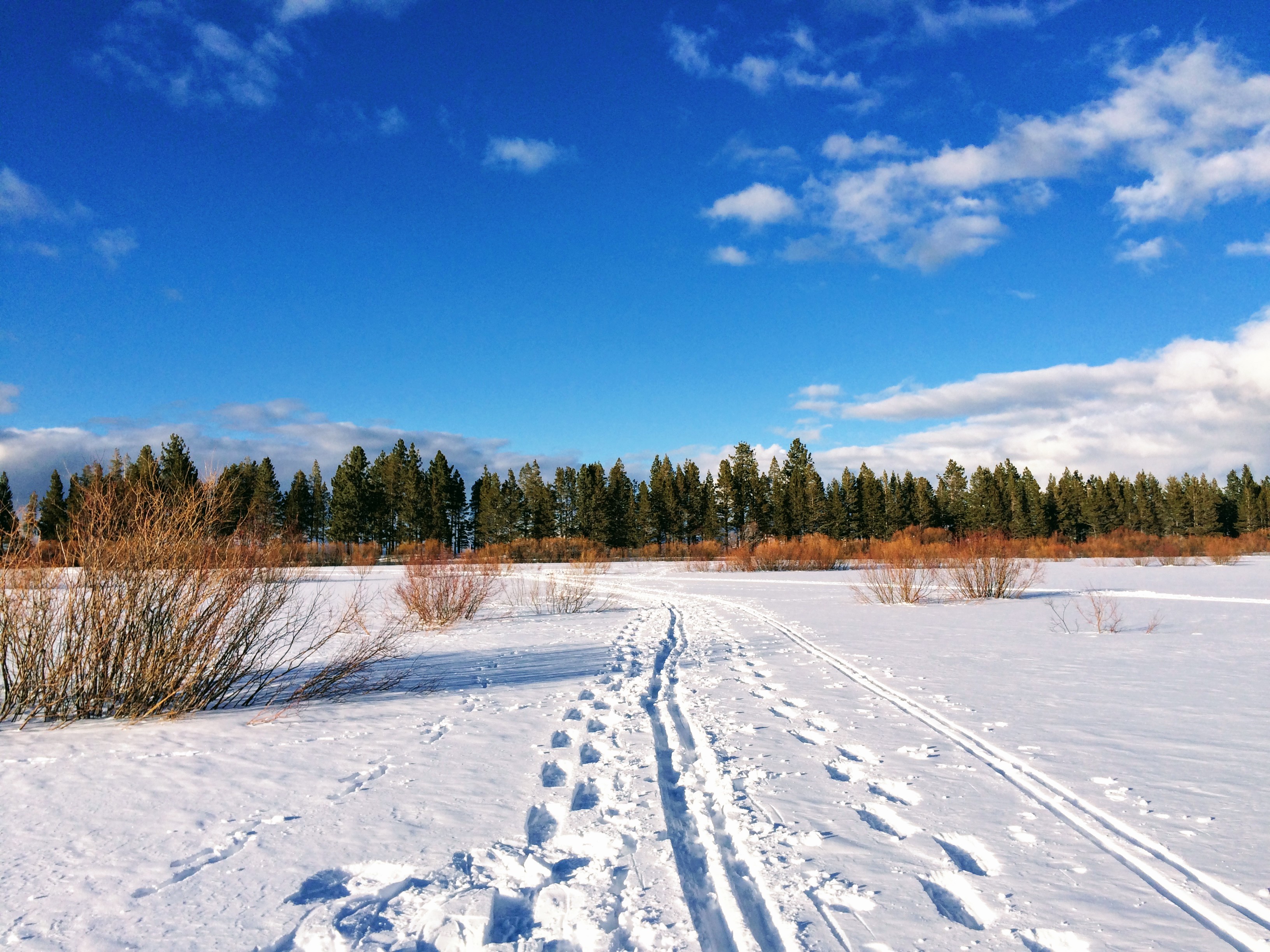 Camp Richardson Snow Trails