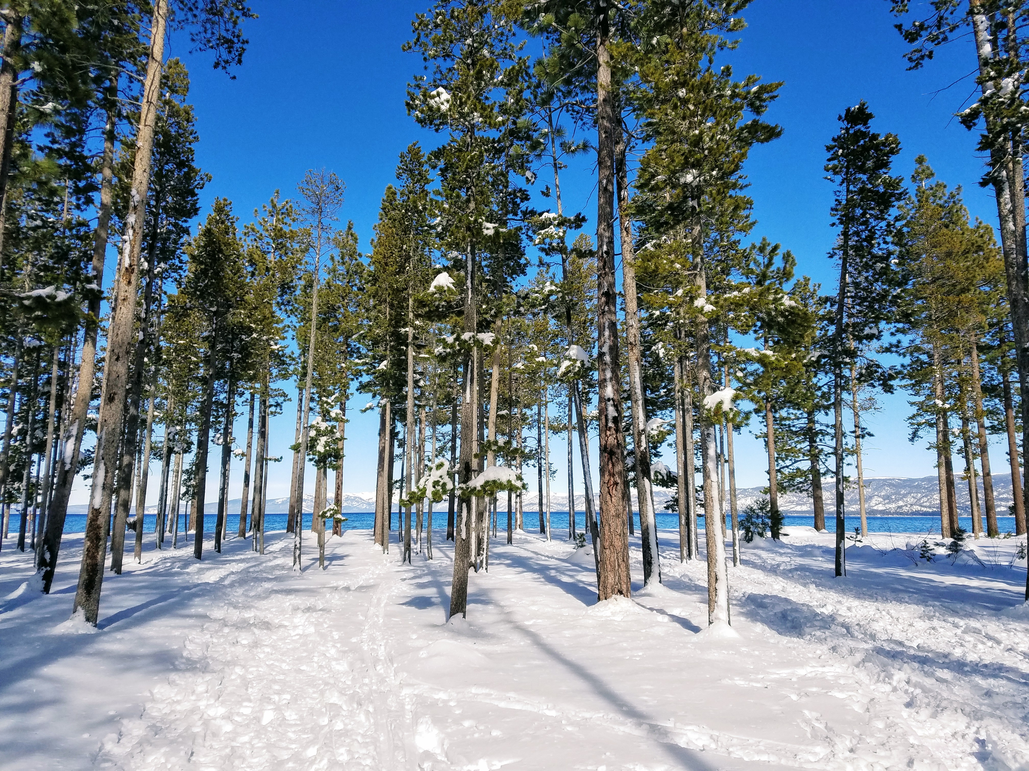 Camp Richardson Snowshoeing