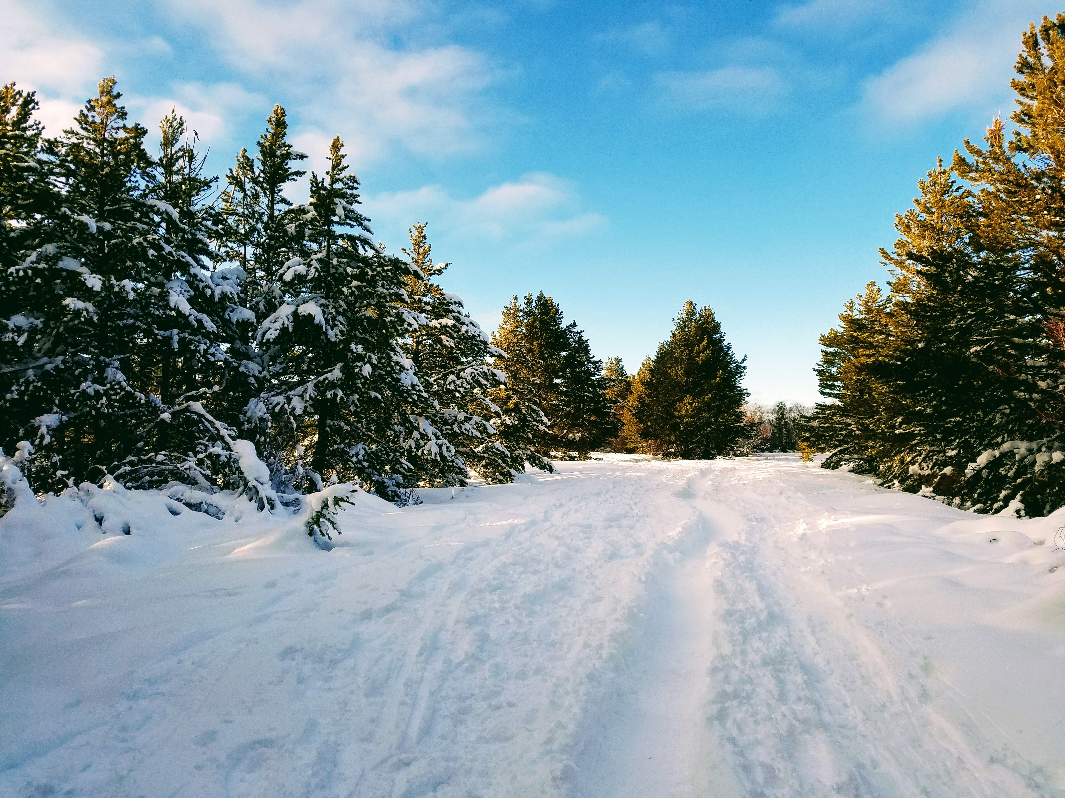 Cove East Snow Shoe