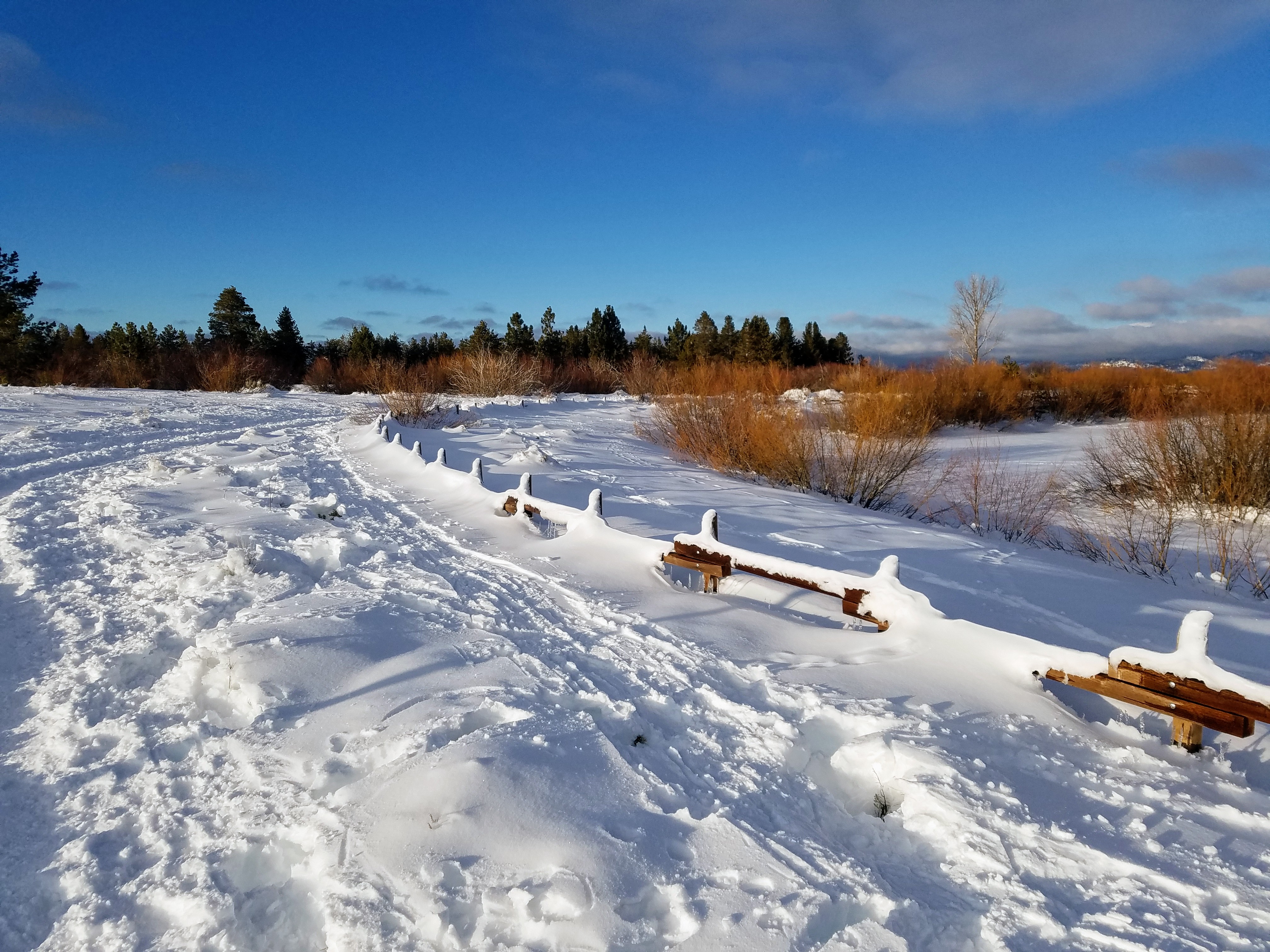 Cove East Snow Shoe