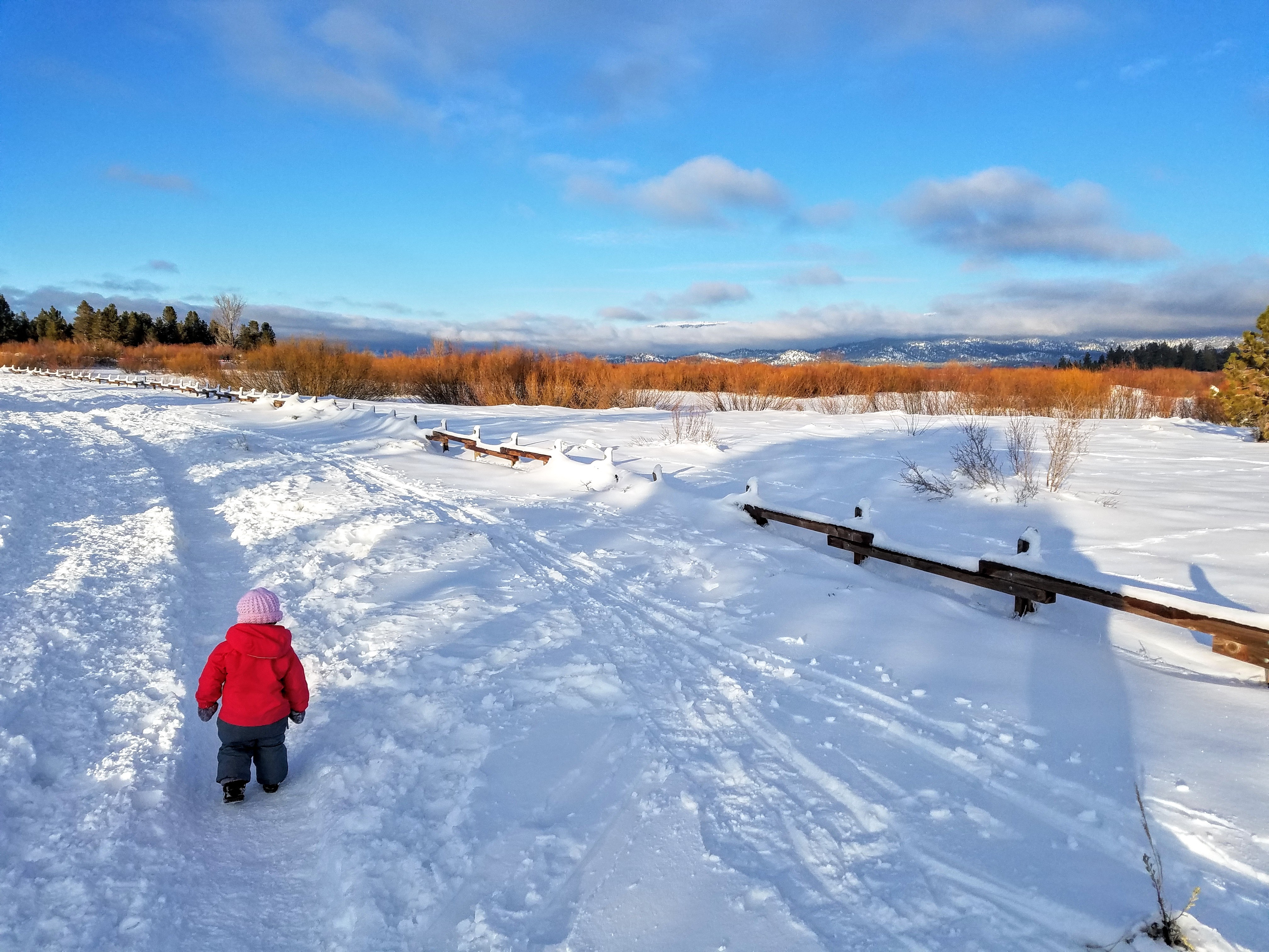 Cove East Snow Shoe