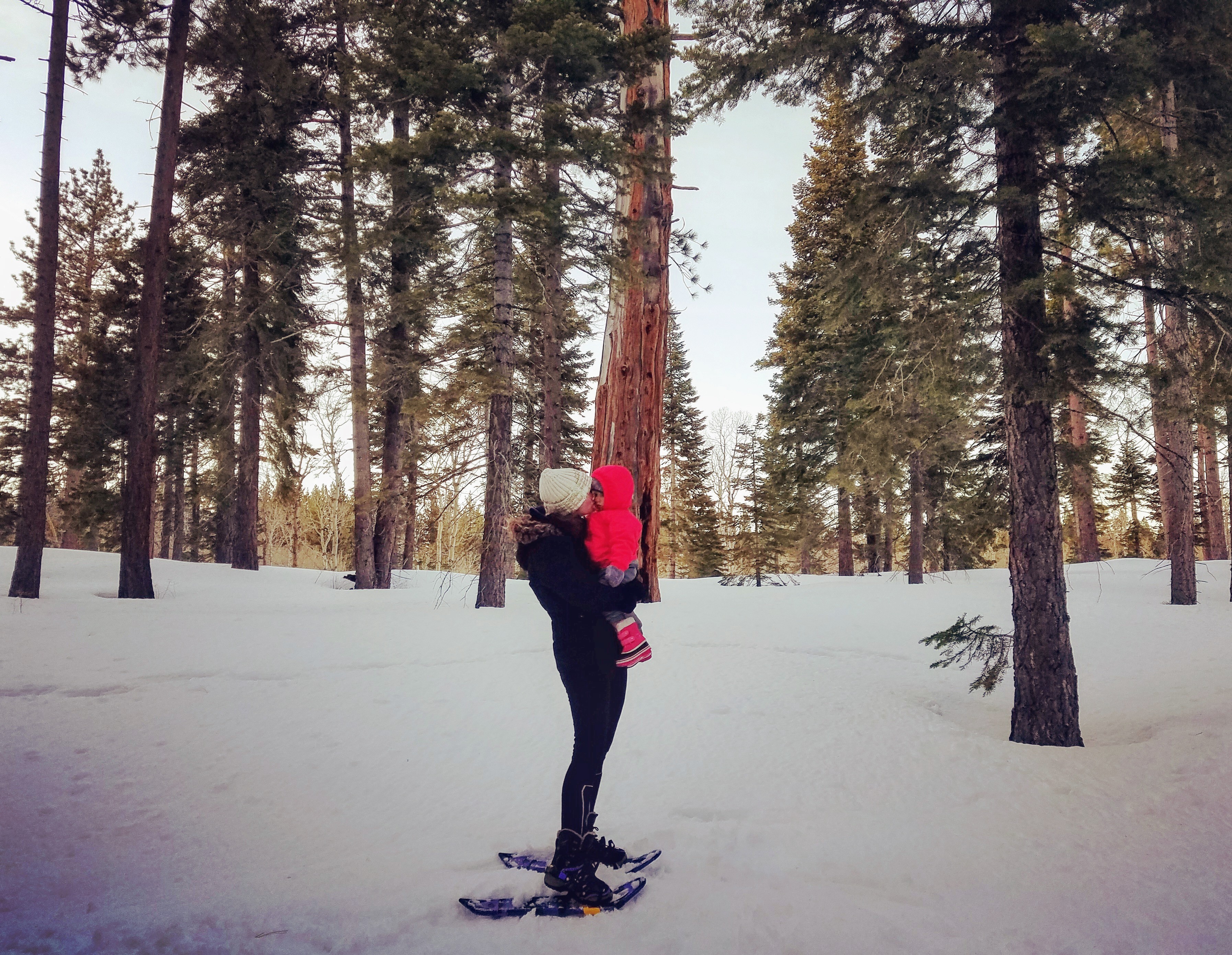 Taylor Creek Snowshoe Toddler