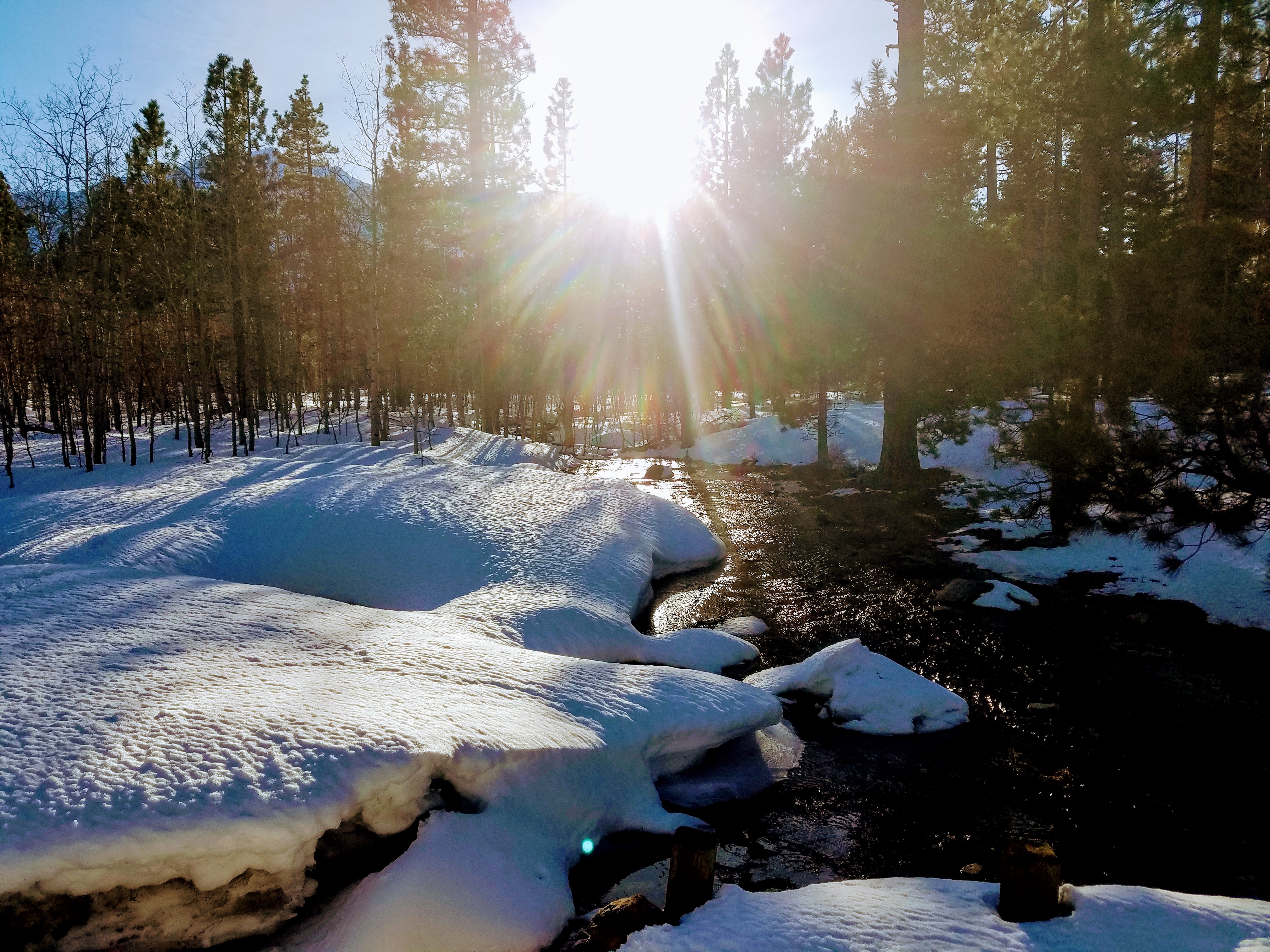 Taylor Creek Snow