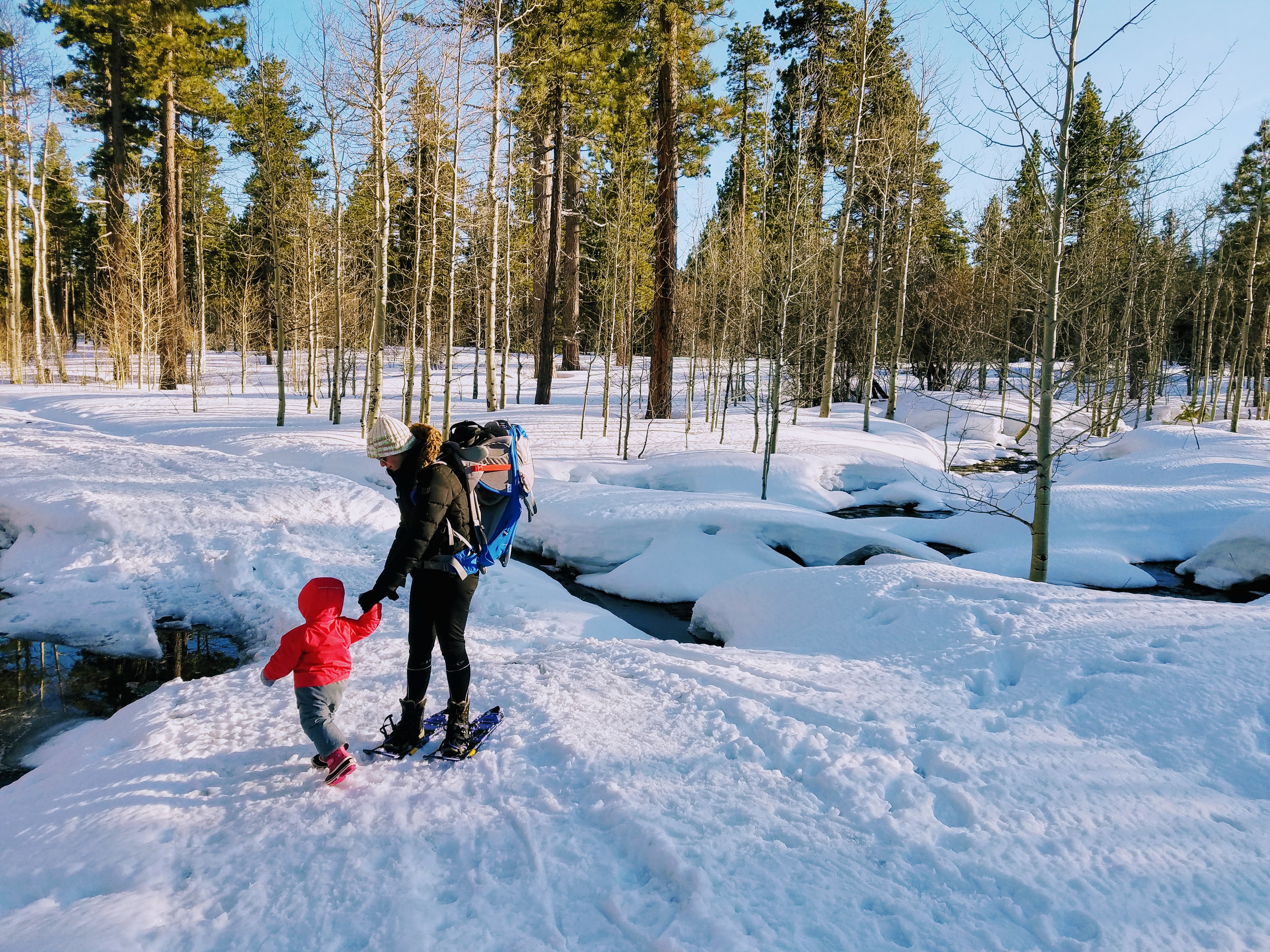 Taylor Creek Snow