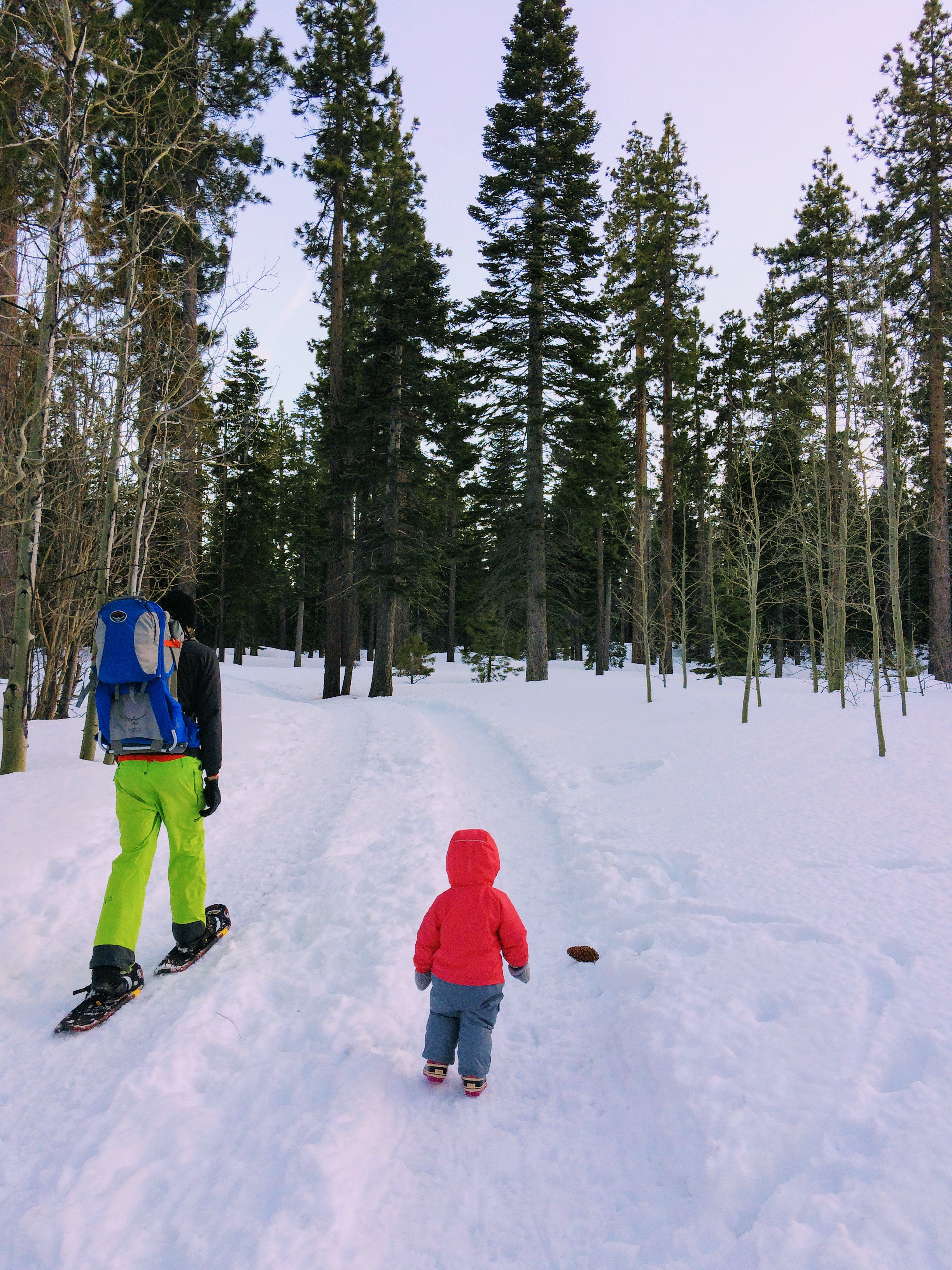 Taylor Creek Snowshoe