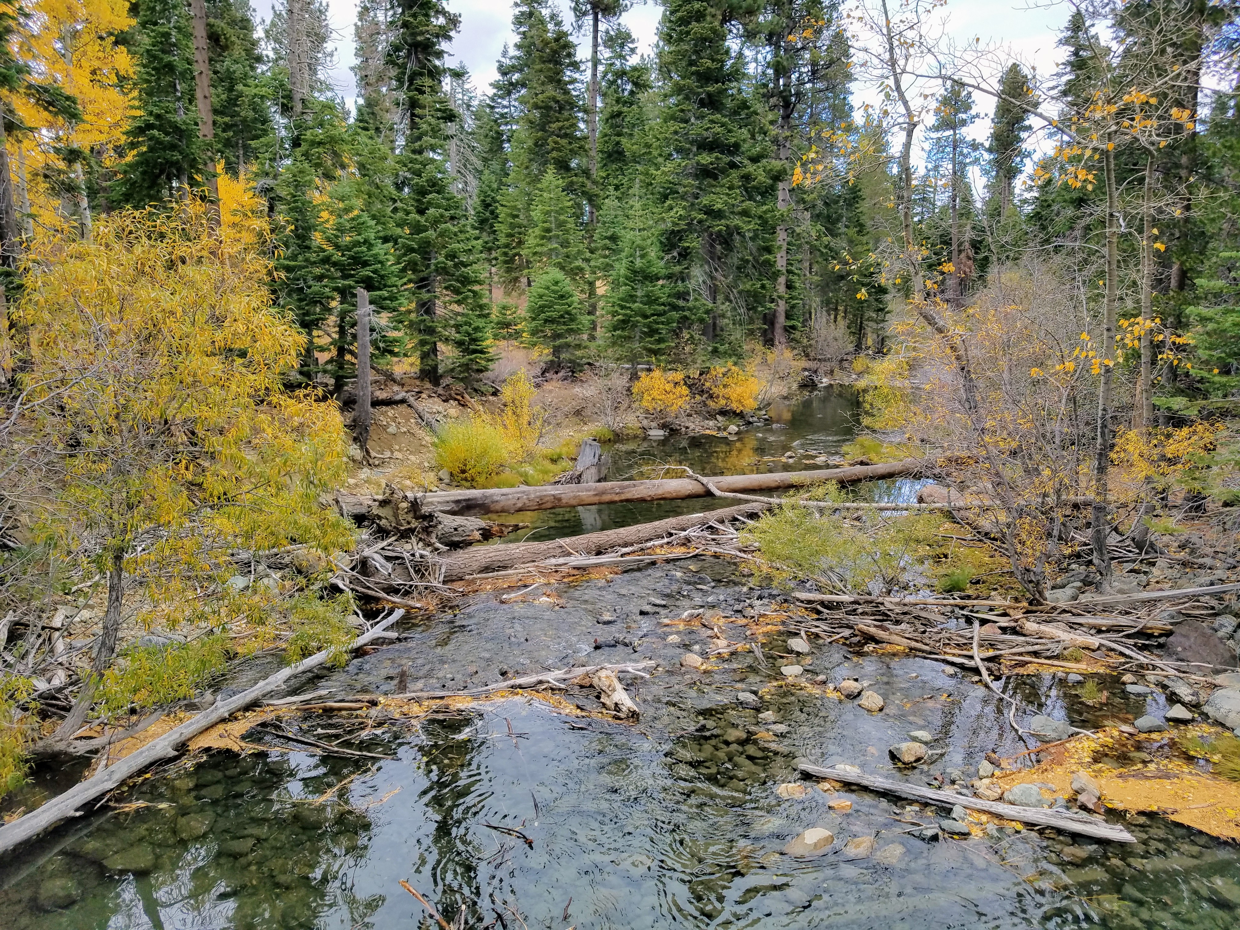 Taylor Creek