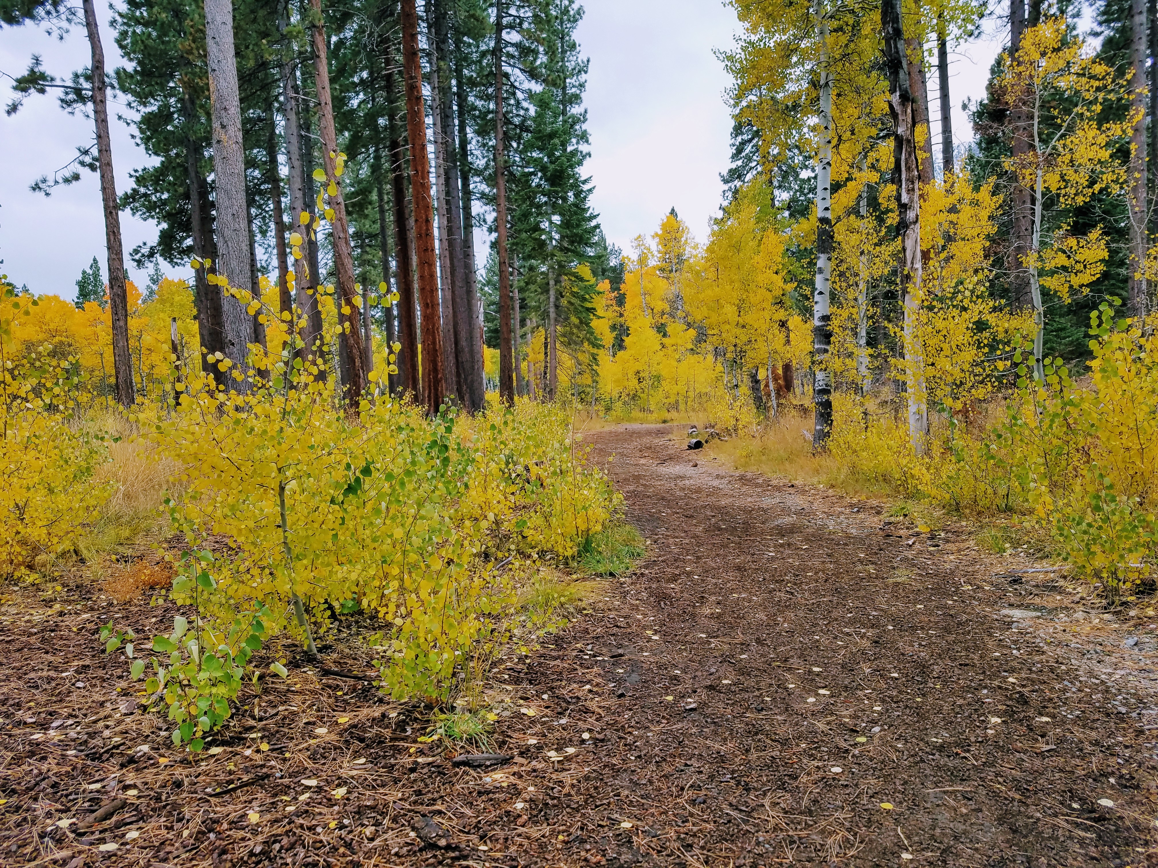 Fallen Leaf Lake