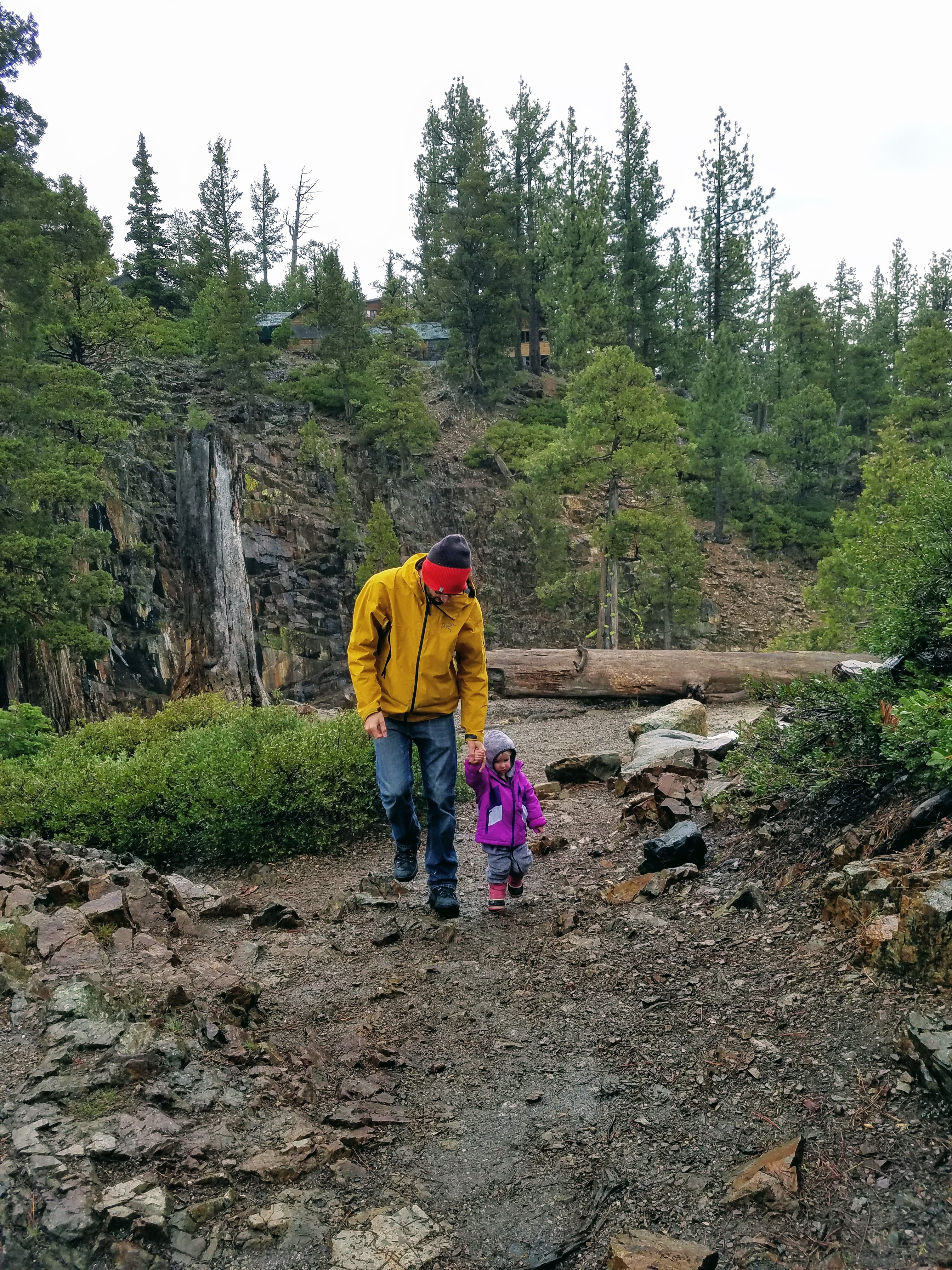 Glen Alpine Falls trail