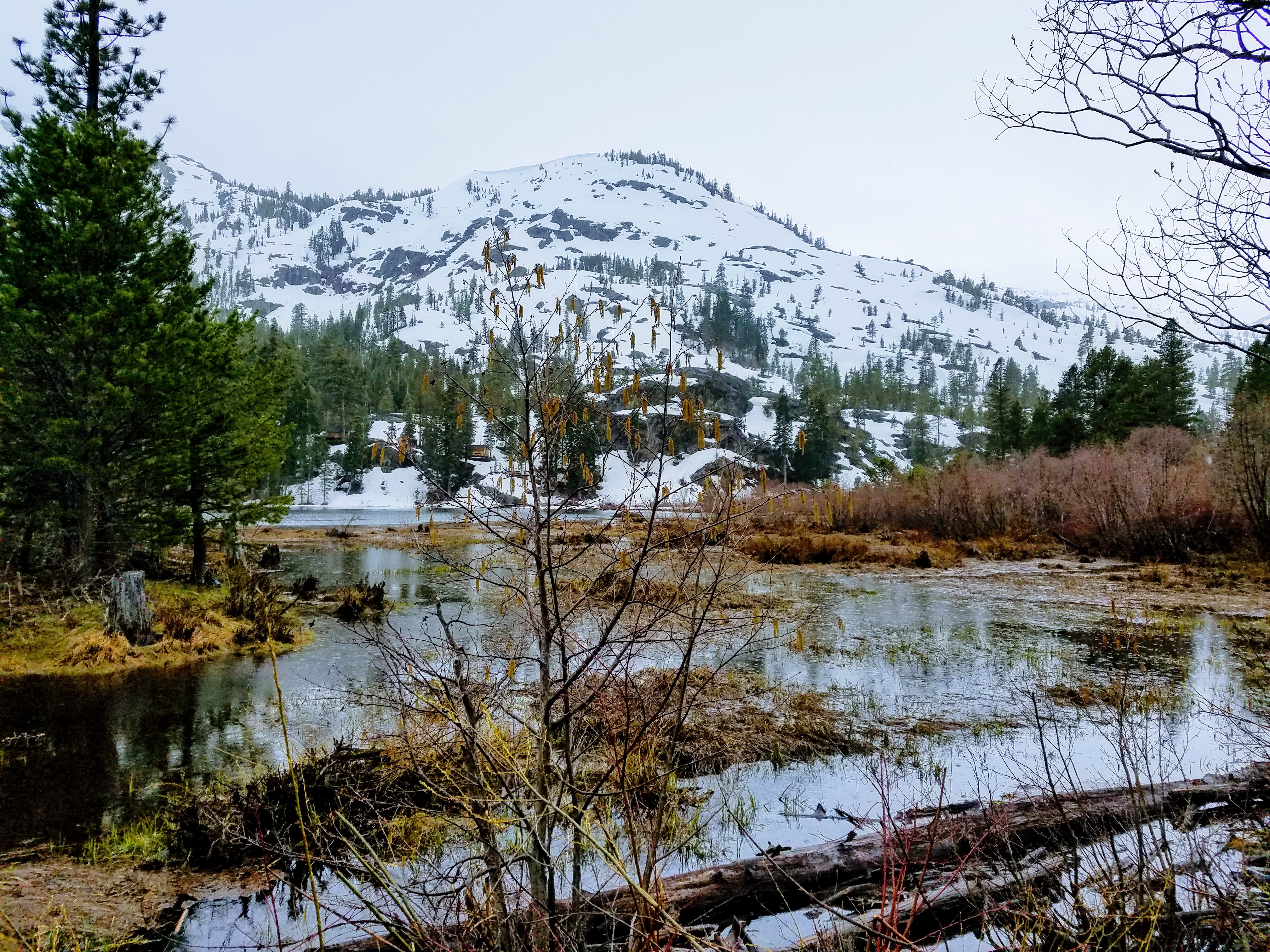 Lily Lake Tahoe