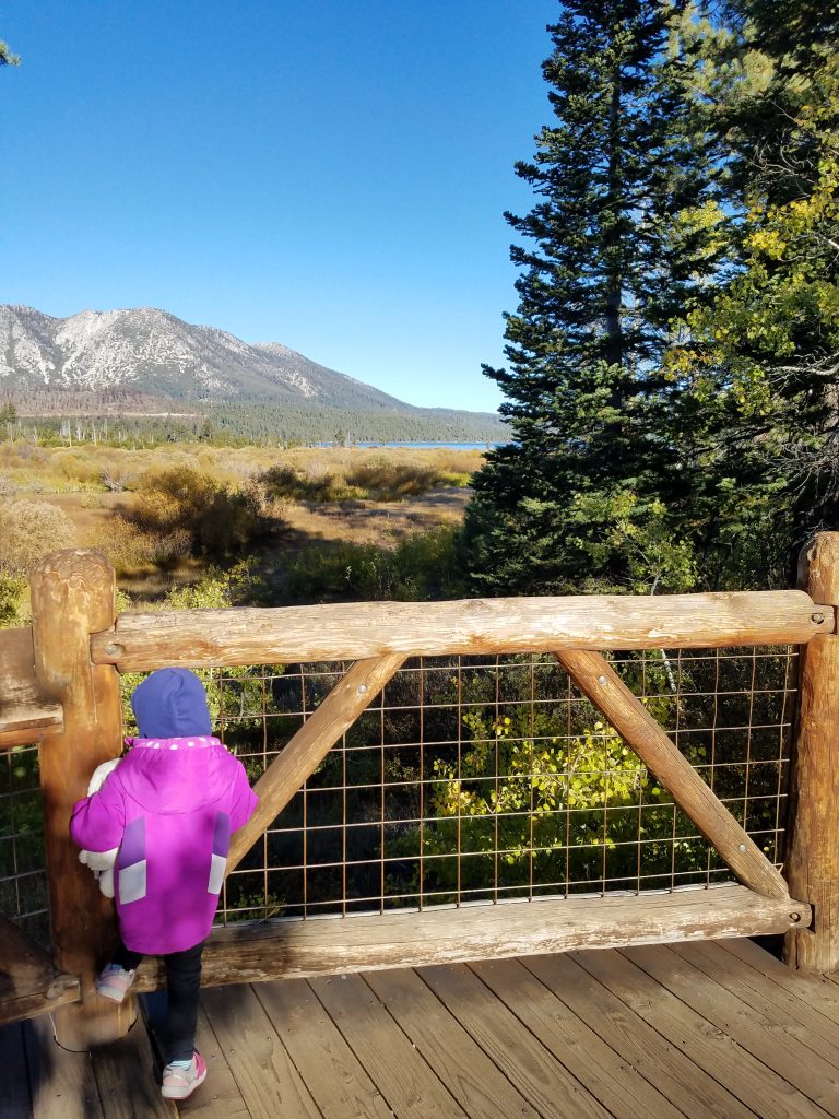 Rainbow Trail to the Salmon Run Tahoe Adventures