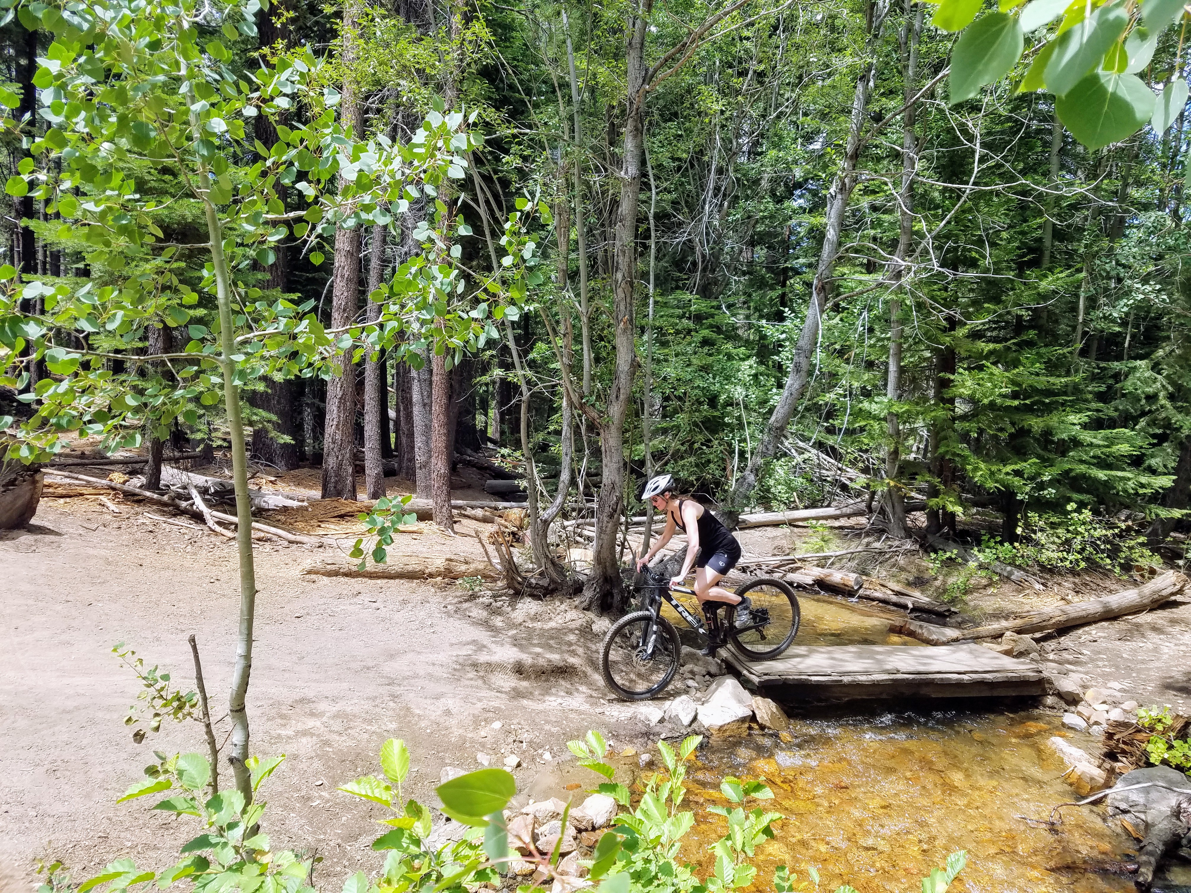 Powerline Trail Tahoe