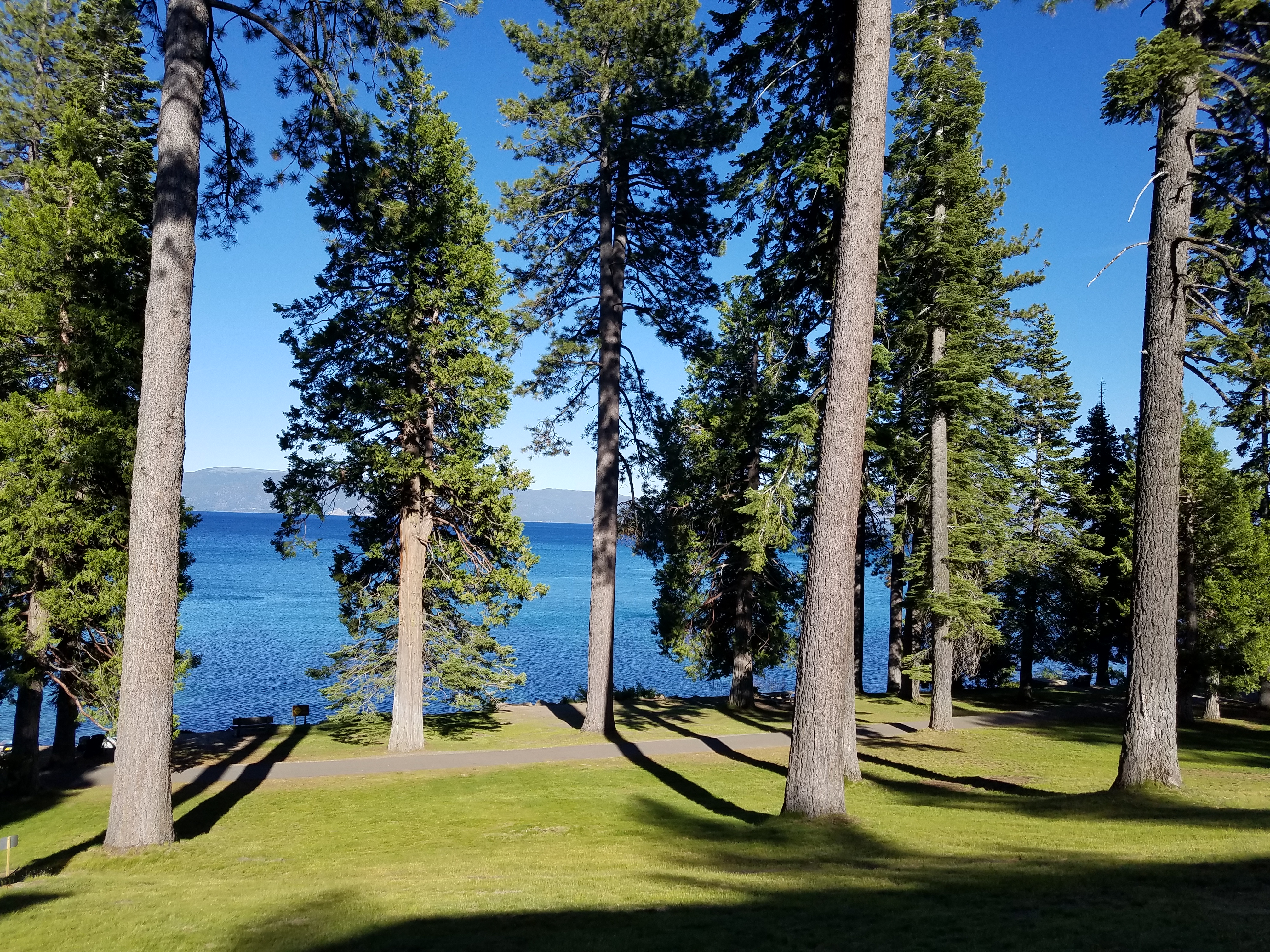 Sugar Pine Point